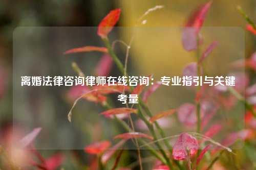 离婚法律咨询律师在线咨询：专业指引与关键考量