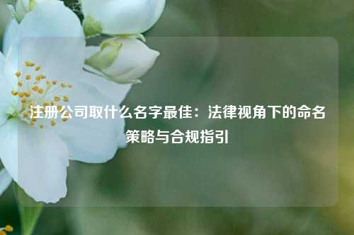 注册公司取什么名字最佳：法律视角下的命名策略与合规指引