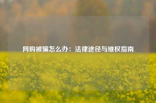 网购被骗怎么办：法律途径与维权指南